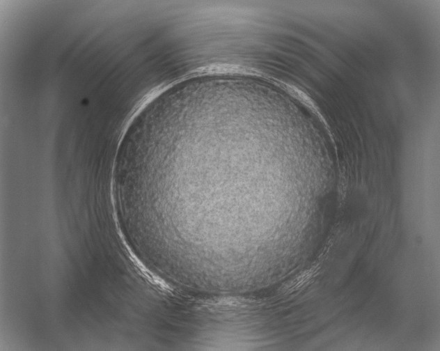 X0000056350847200509161800