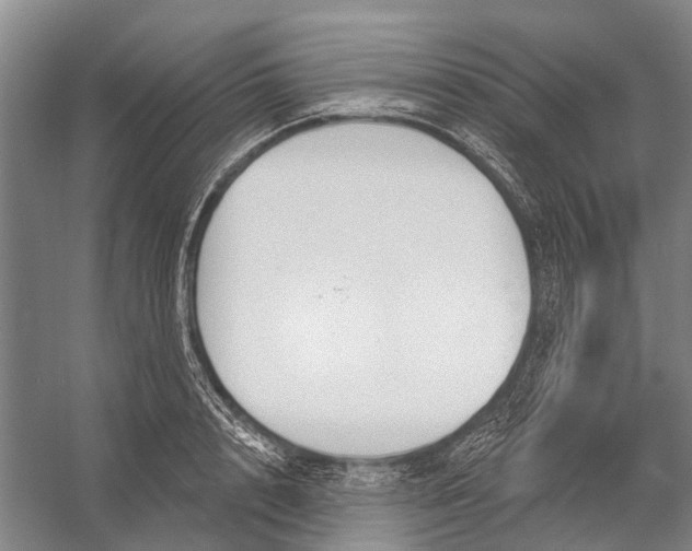 X0000056350848200509161800