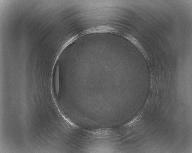 X0000056350850200509161800