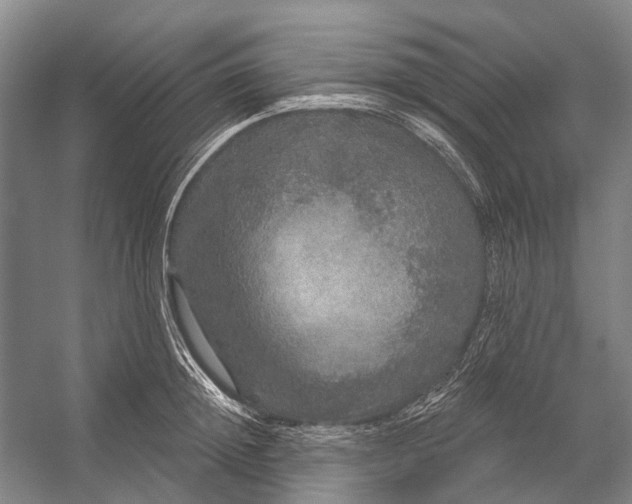 X0000056350852200509161800