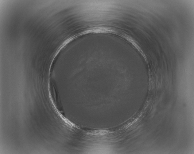 X0000056350853200509161800