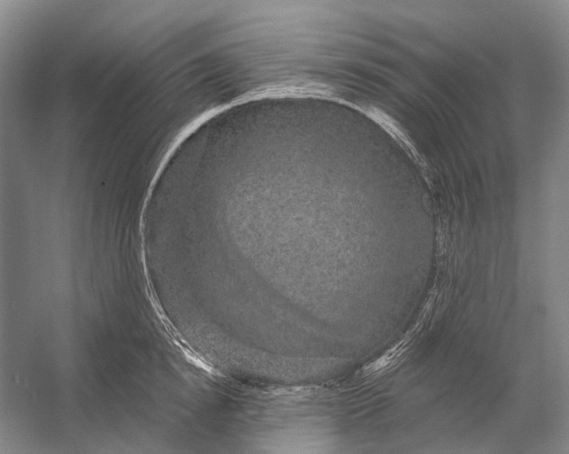 X0000056350854200509161800