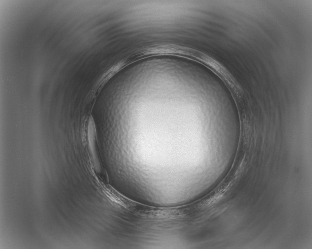 X0000056350857200509161800