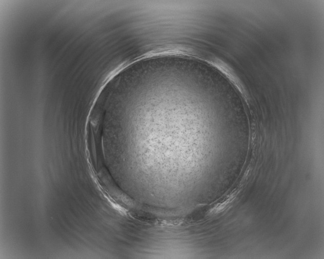 X0000056350858200509161800