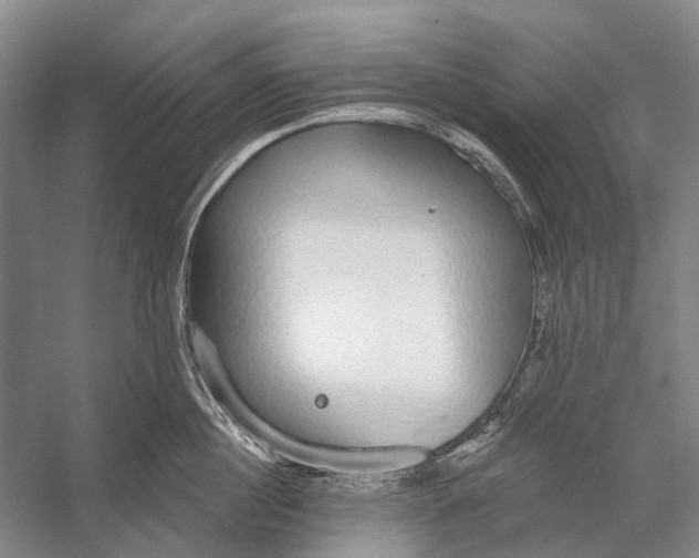 X0000056350860200509161800