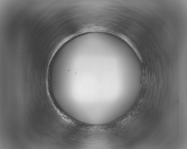 X0000056350861200509161800