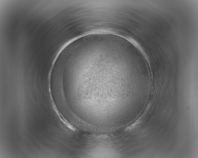 X0000056350862200509161800