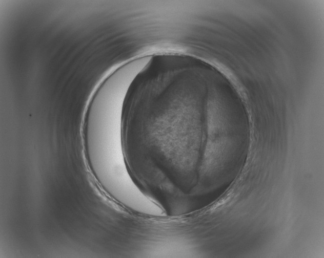 X0000056350864200509161800