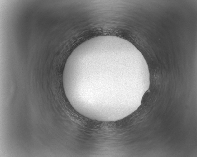 X0000056350865200509161759