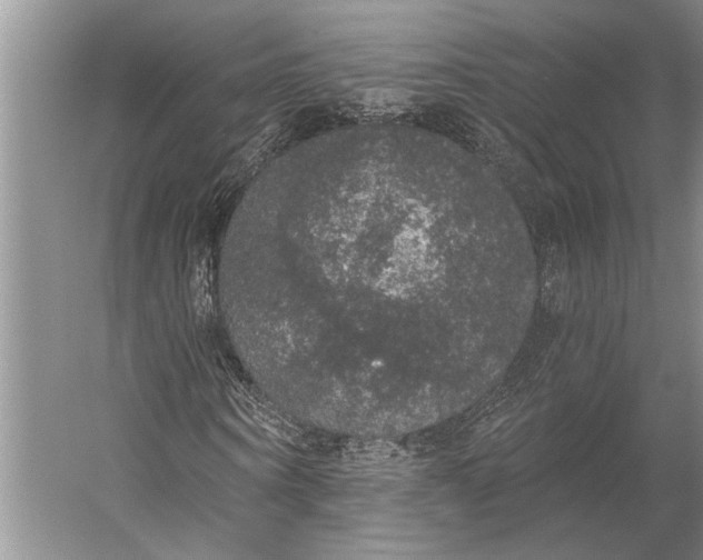 X0000056350866200509161759