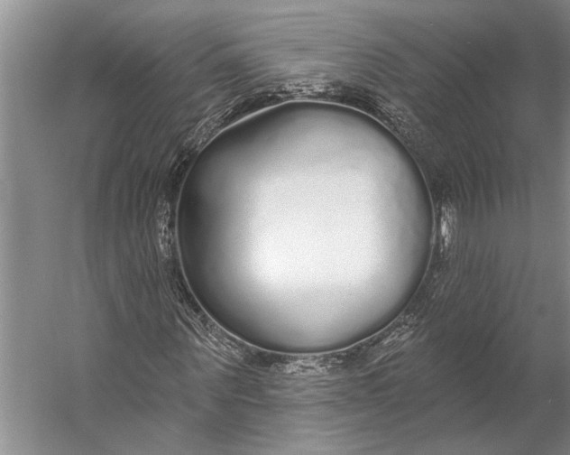 X0000056350867200509161759