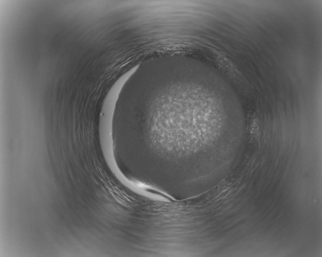 X0000056350868200509161759