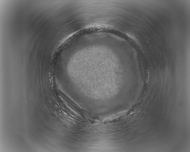 X0000056350872200509161759