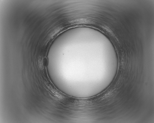 X0000056350873200509161759