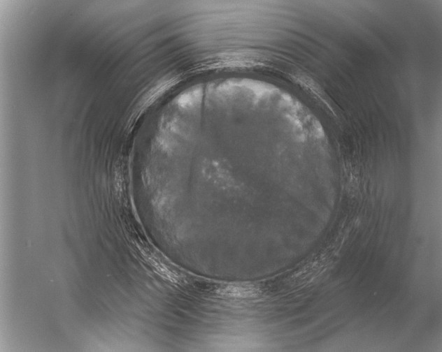 X0000056350874200509161759