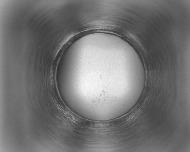 X0000056350875200509161759