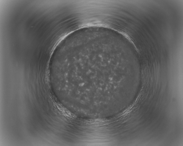 X0000056350879200509161759