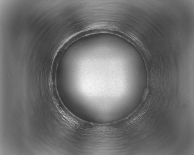 X0000056350880200509161759