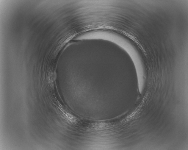 X0000056350881200509161759