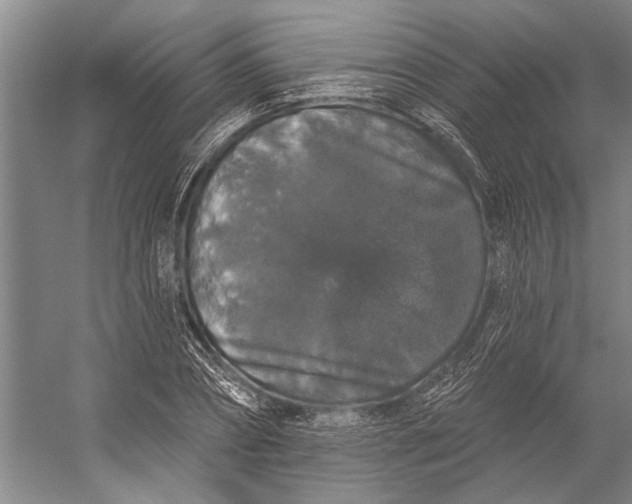 X0000056350882200509161759