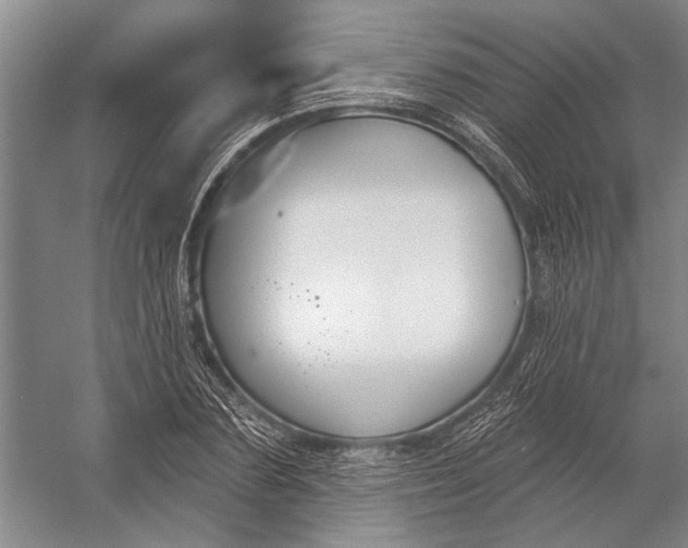 X0000056350883200509161759