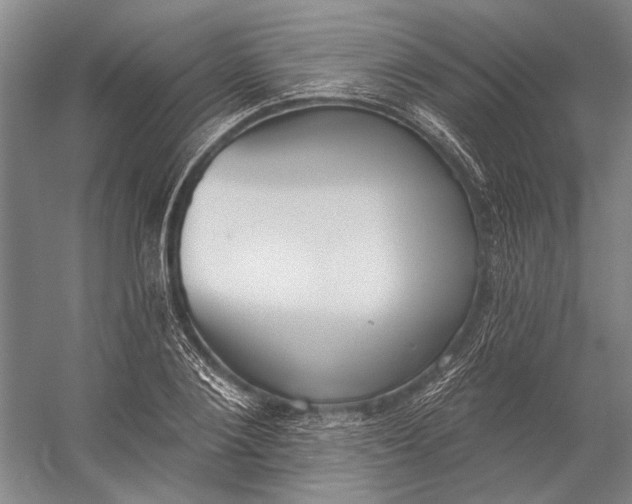 X0000056350884200509161759