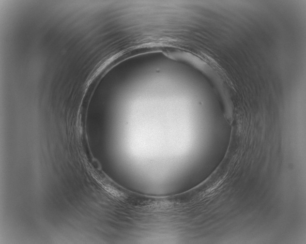 X0000056350885200509161759