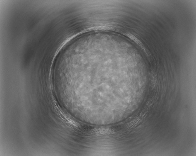 X0000056350886200509161759