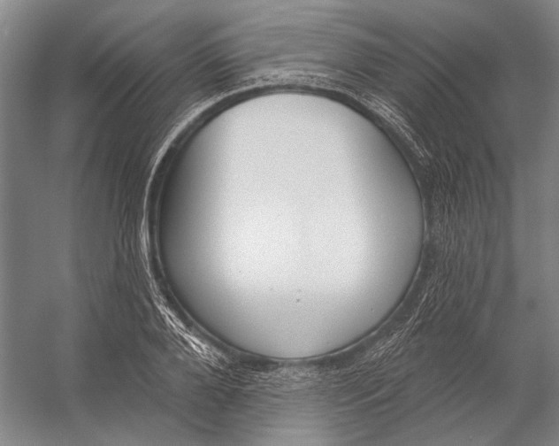 X0000056350888200509161759