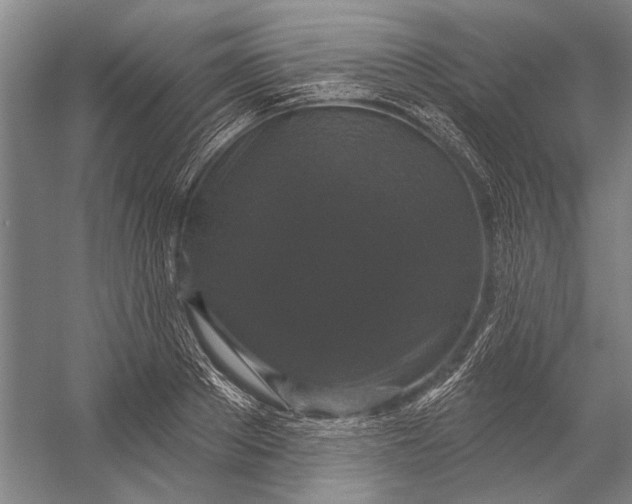 X0000056350889200509161759