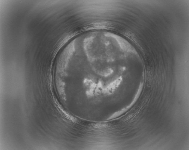 X0000056350890200509161759