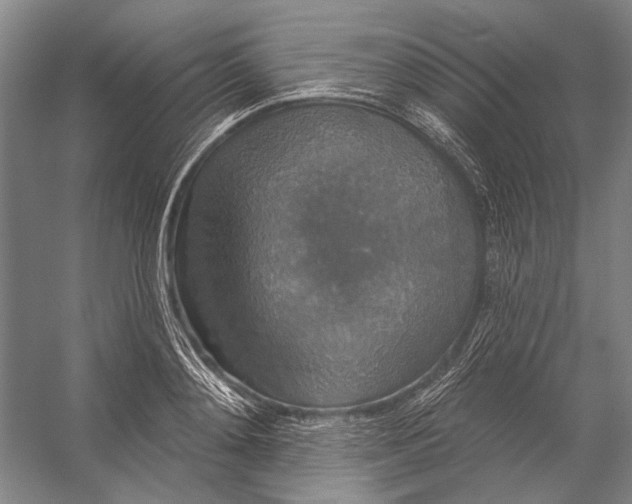 X0000056350892200509161759