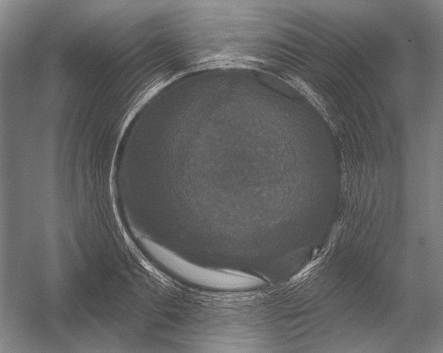 X0000056350893200509161759