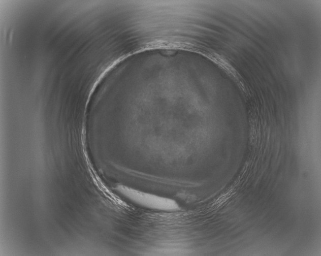 X0000056350896200509161759