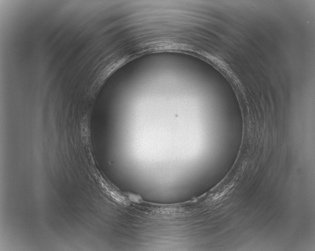 X0000056350897200509161759