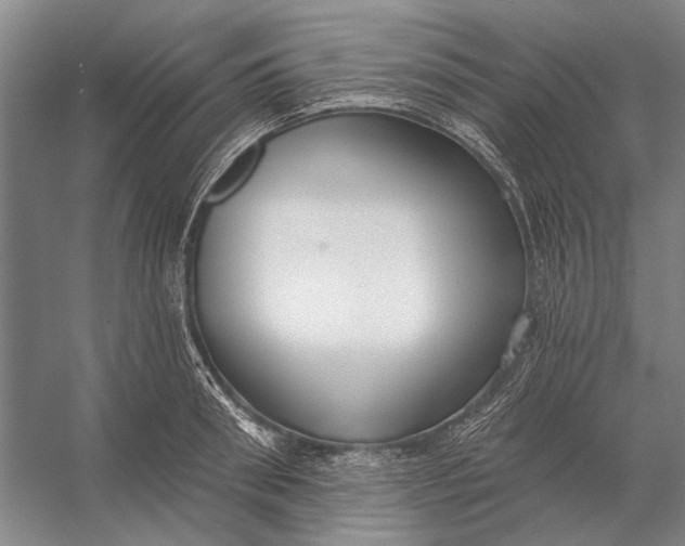 X0000056350898200509161759