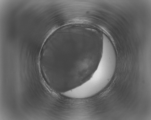 X0000056350899200509161759