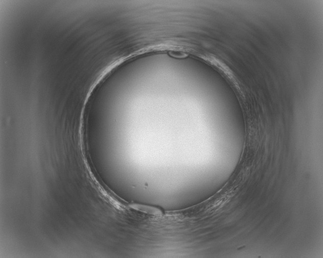 X0000056350902200509161759