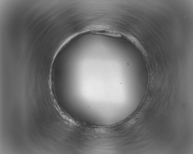 X0000056350904200509161759