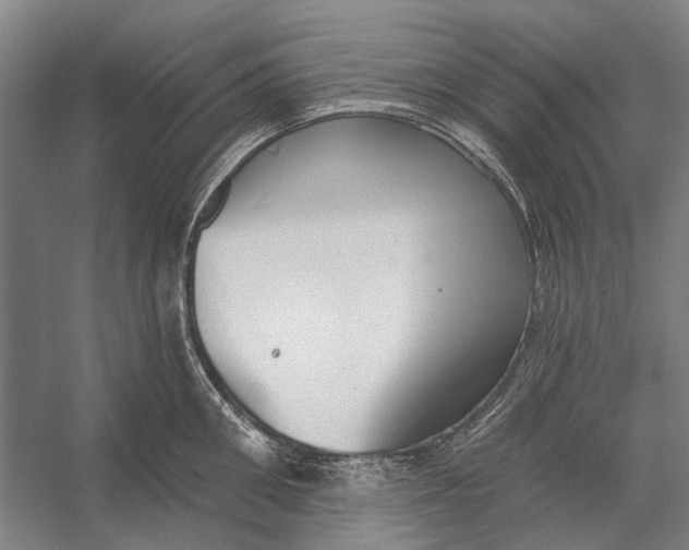 X0000056350906200509161759