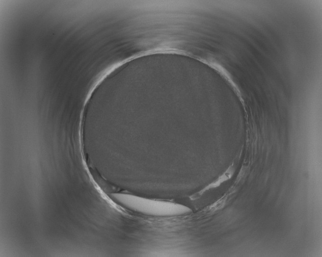 X0000056350910200509161758