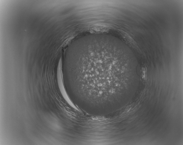 X0000056350915200509161758