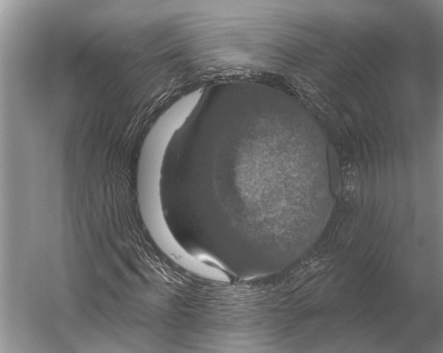 X0000056350916200509161758