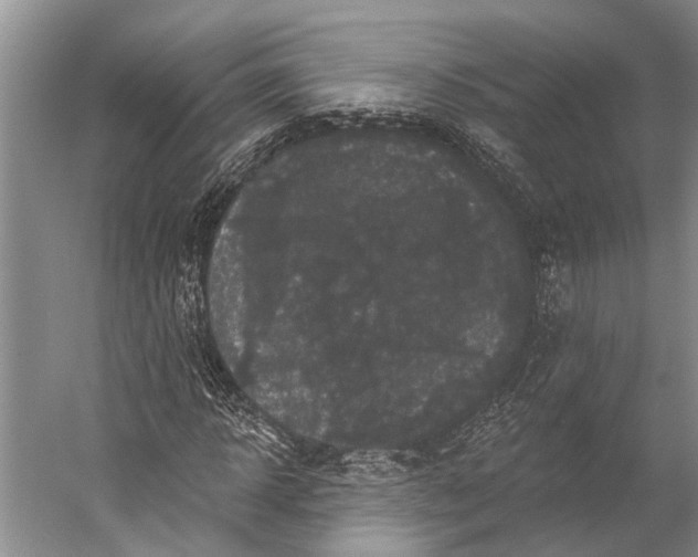 X0000056350918200509161758