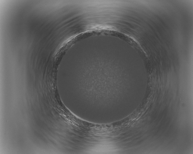 X0000056350919200509161758