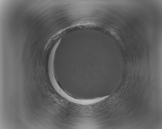 X0000056350920200509161758