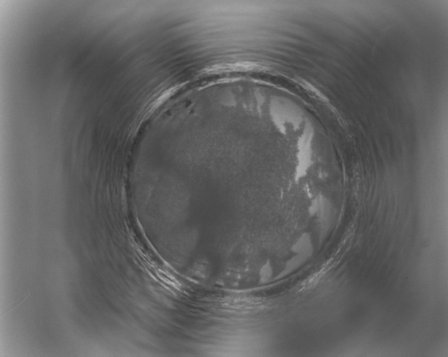 X0000056350921200509161758