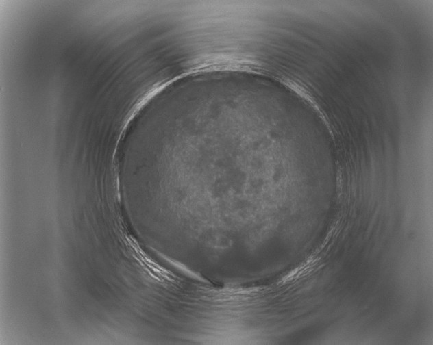 X0000056350925200509161758