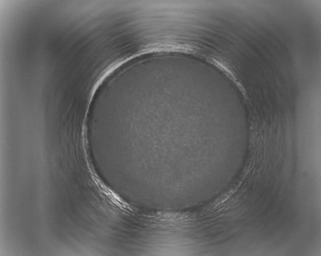 X0000056350928200509161758