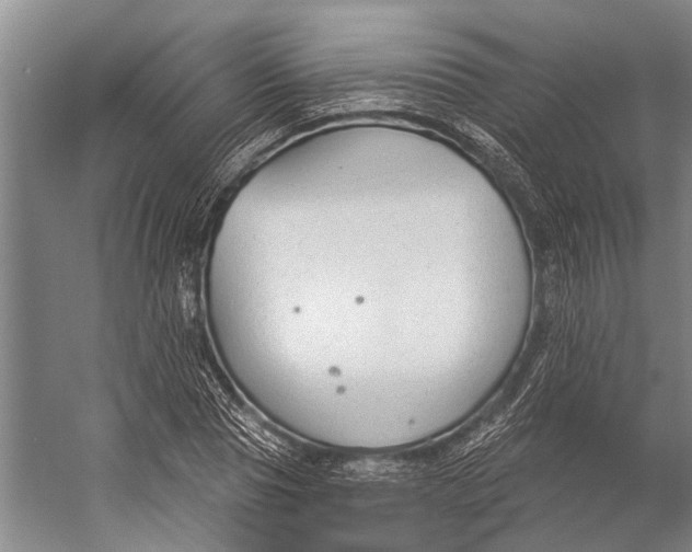 X0000056350929200509161758